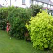 Gardeners Southend